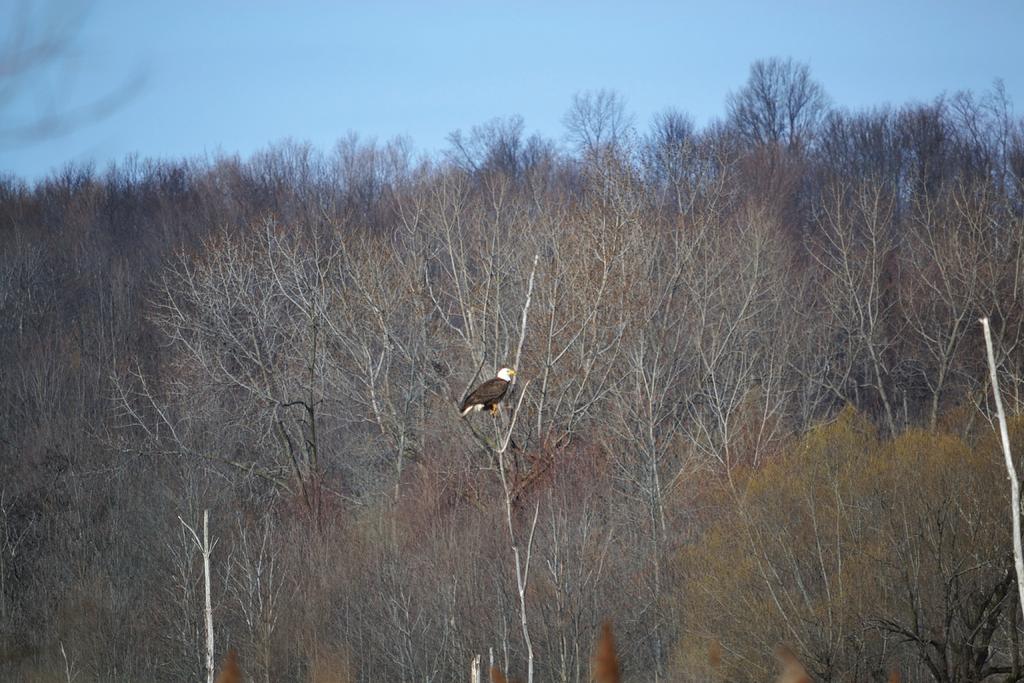 DSC_2791.jpg