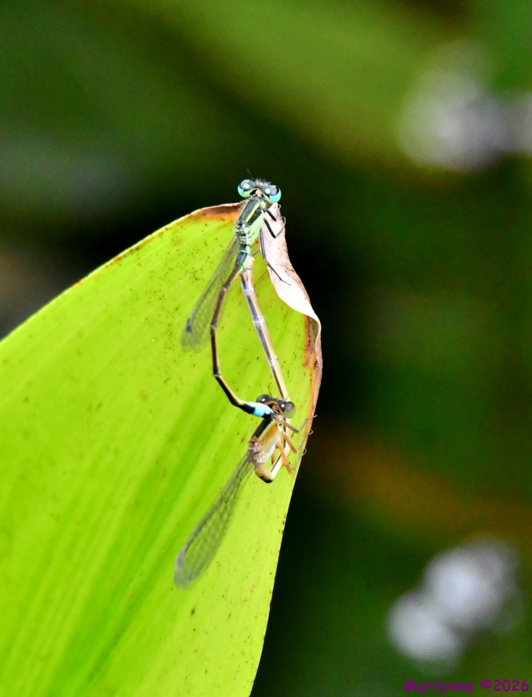 DSC_2793_001.JPG