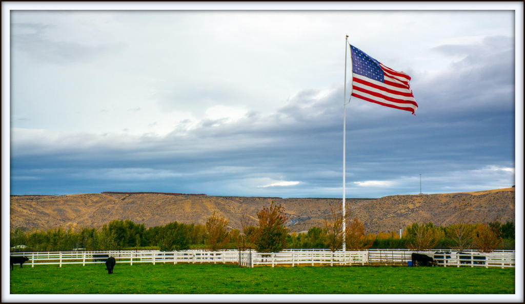 DSC_2797.jpg