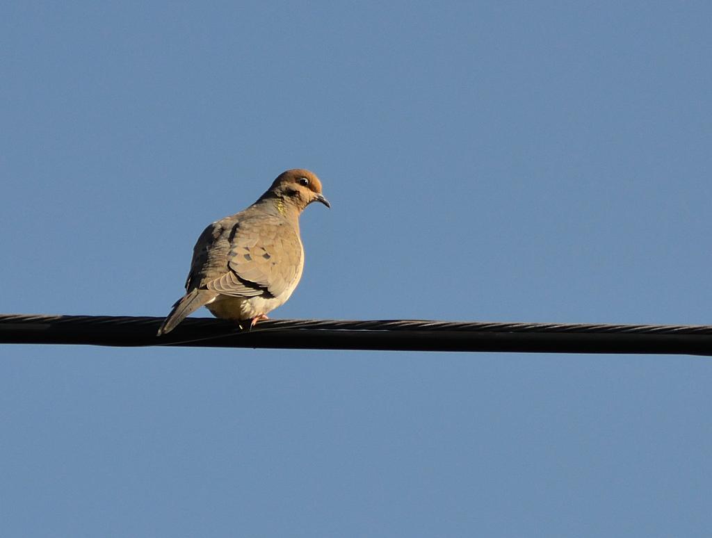 DSC_2802.jpg