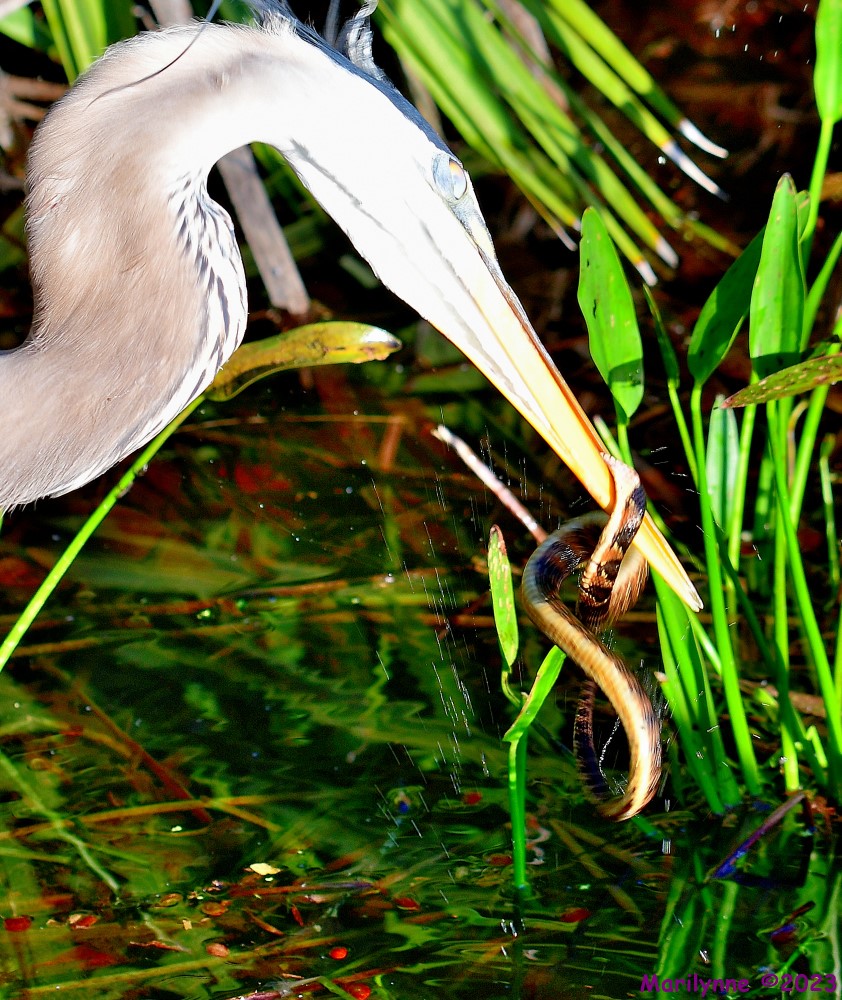 DSC_2802_001.JPG