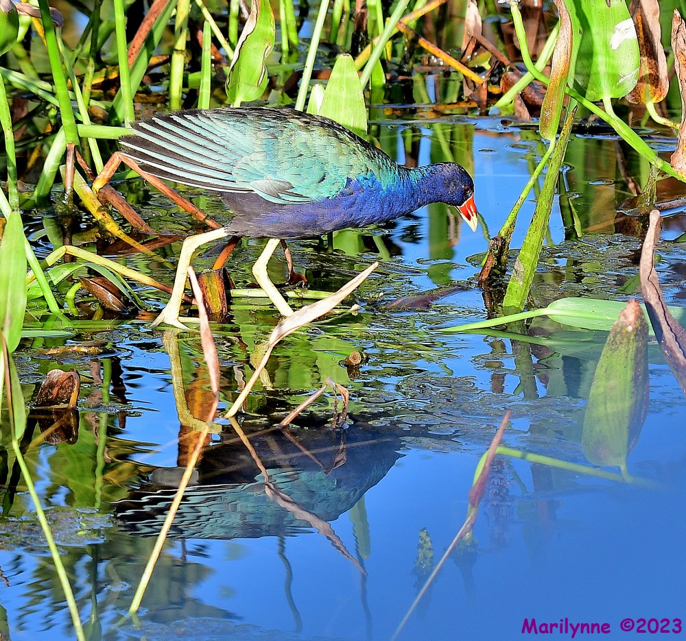 DSC_2802_001.JPG