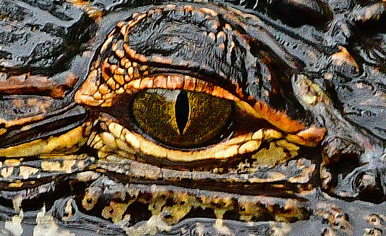 DSC_2805.jpg
