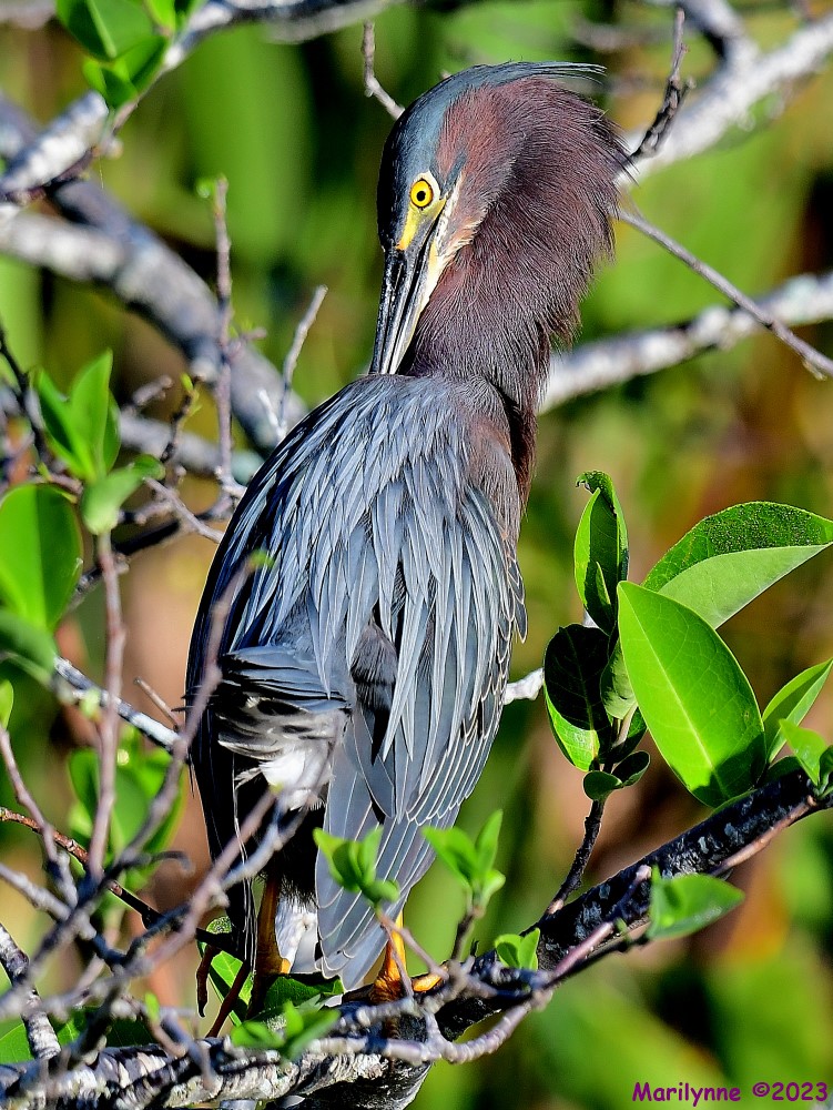 DSC_2808_001.JPG