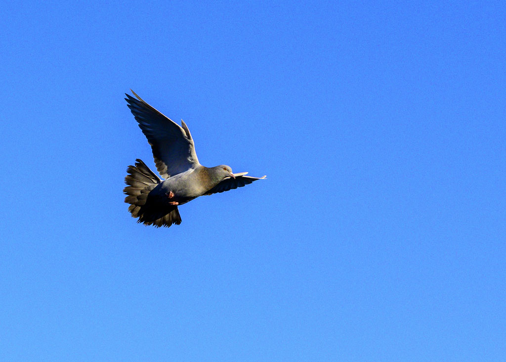 DSC_2809.jpg