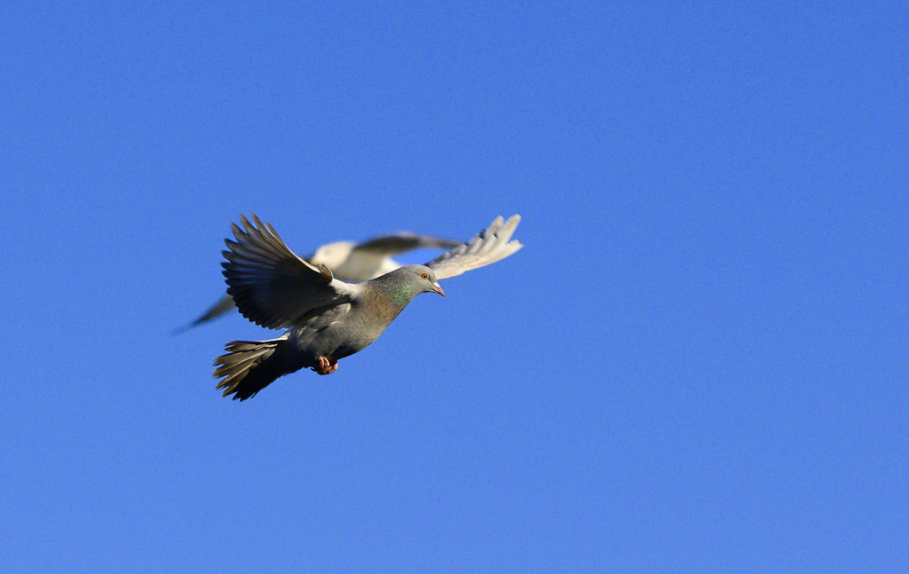 DSC_2810.jpg
