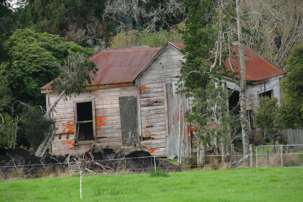 DSC_2812.jpg
