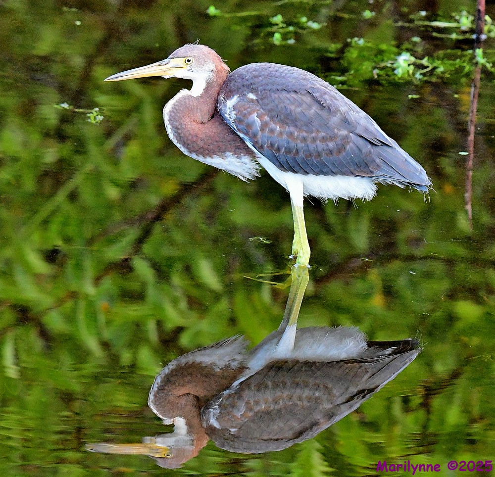 DSC_2814_001.JPG
