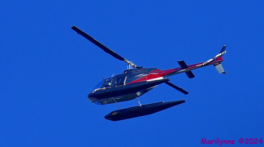 DSC_2816_001.JPG