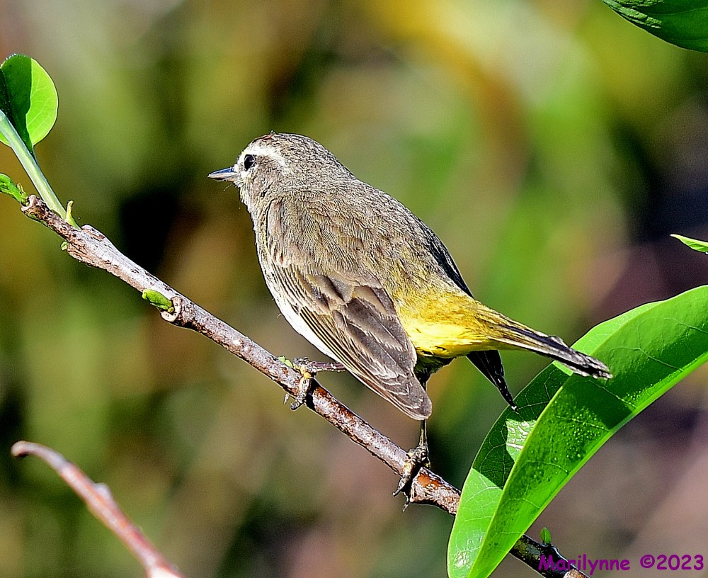 DSC_2817_001.JPG