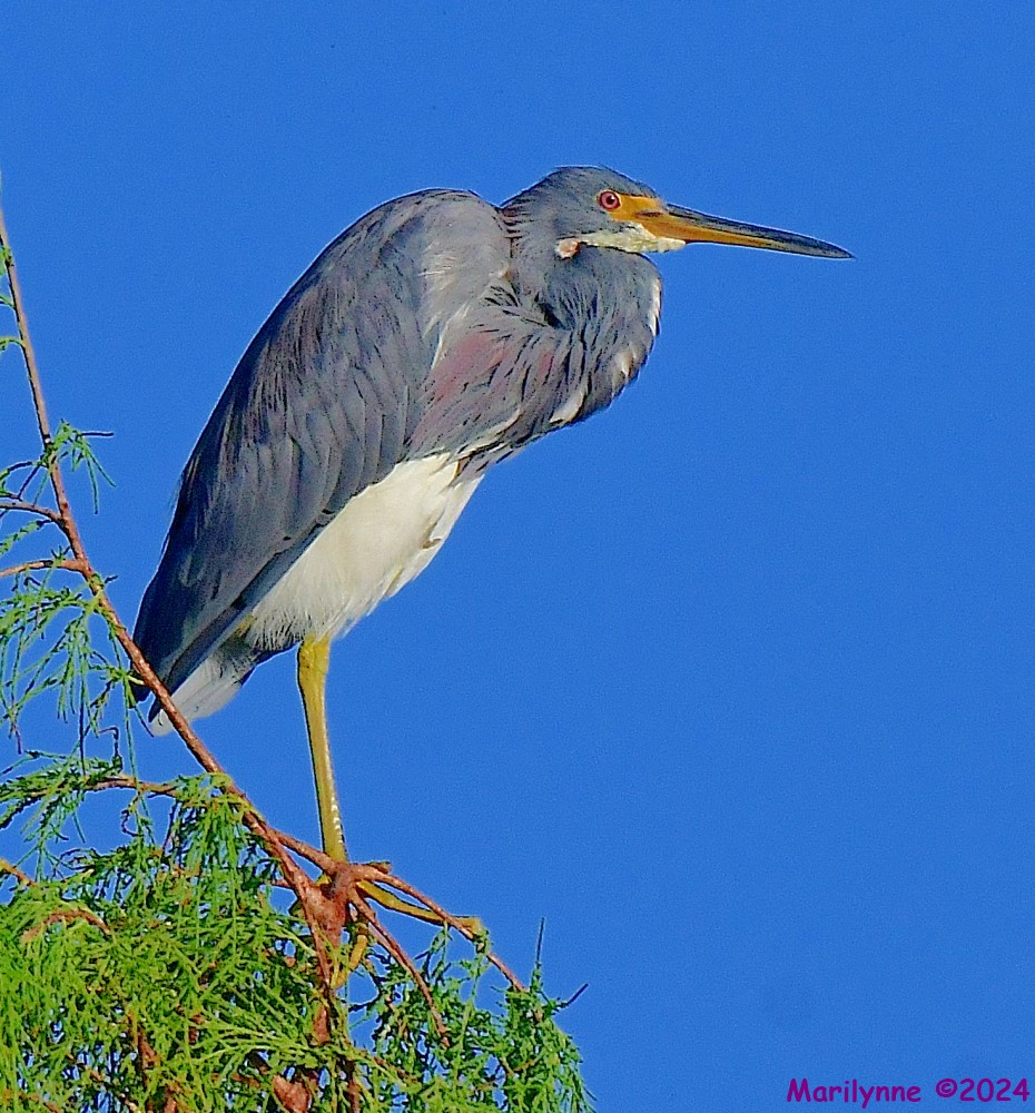 DSC_2822_001.JPG