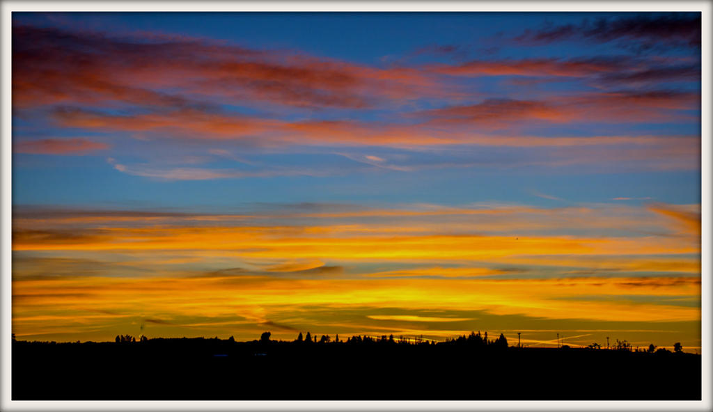 DSC_2824.jpg