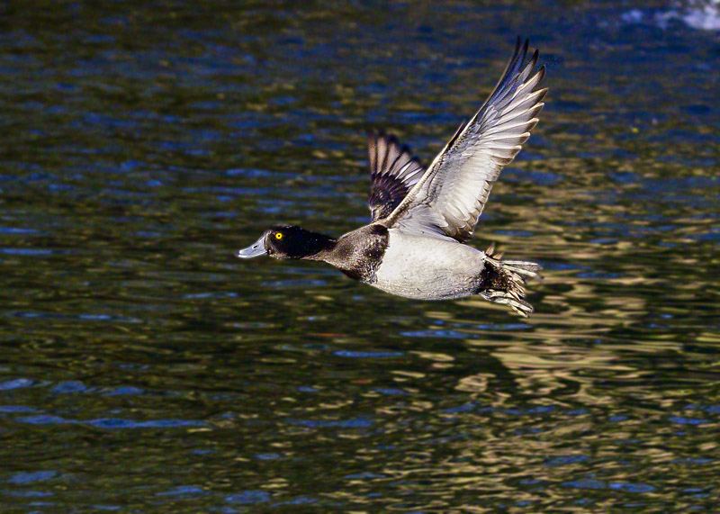 DSC_2824.jpg