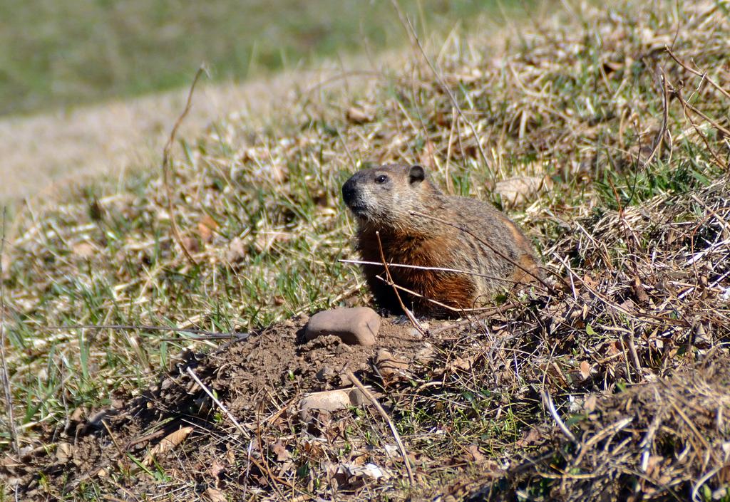 DSC_2824.jpg