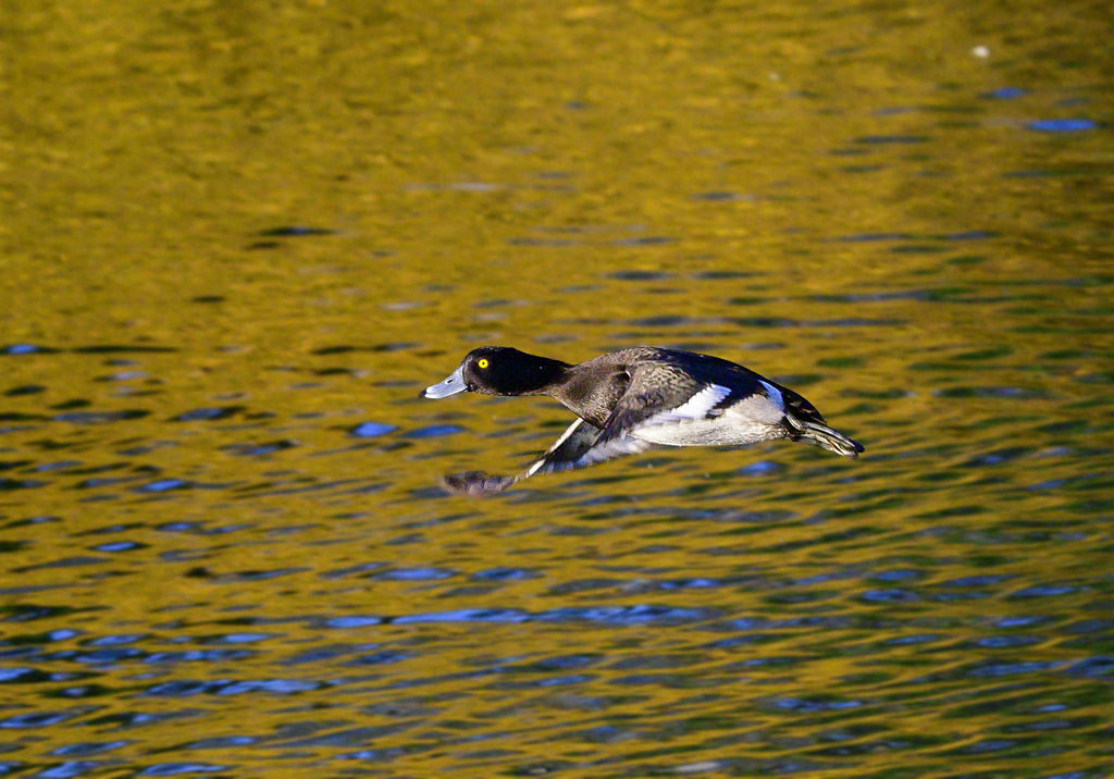 DSC_2825.jpg