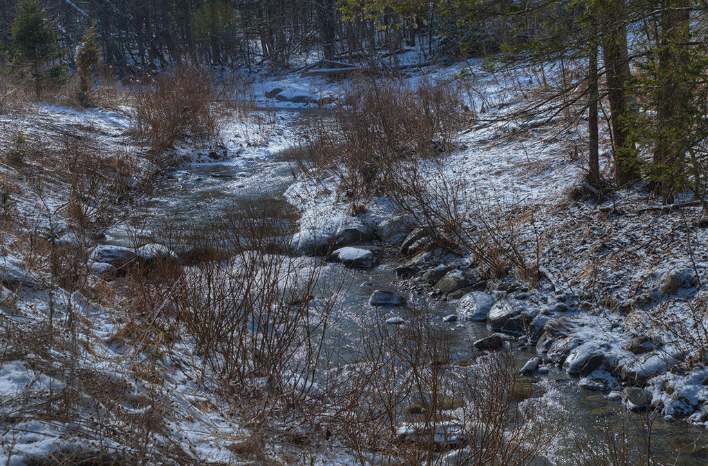DSC_2826_7_8_tonemapped.jpg