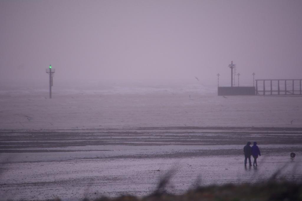 DSC_2828.jpg