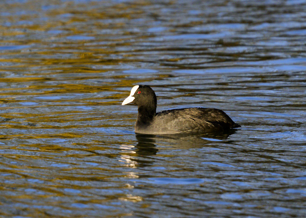 DSC_2831.jpg