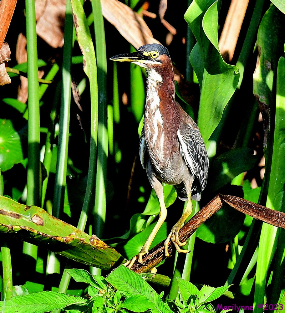 DSC_2836_001.JPG