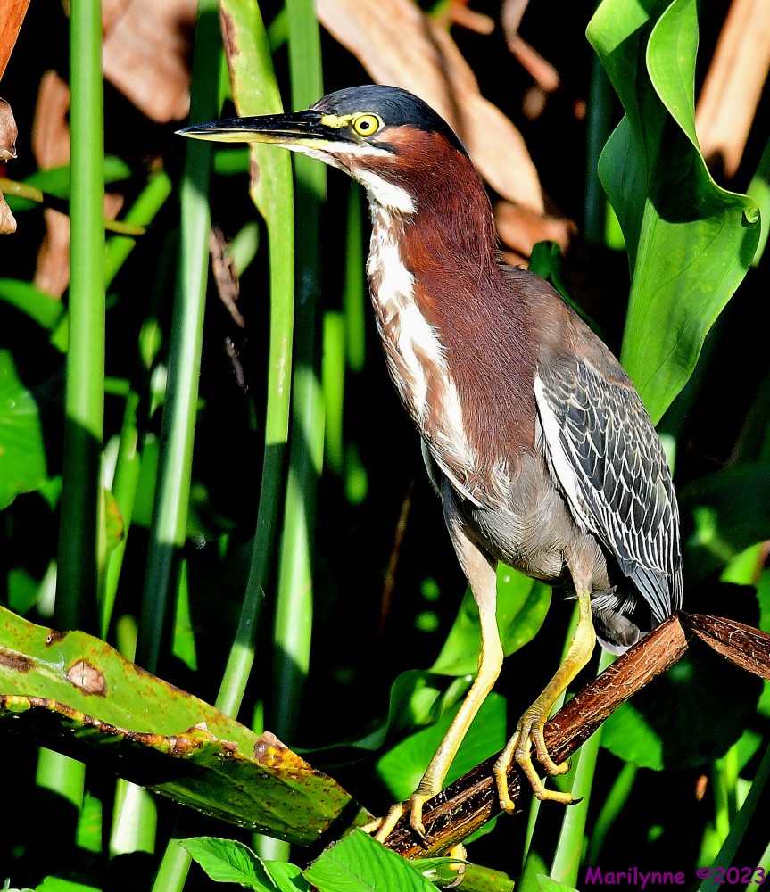 DSC_2840_001.JPG