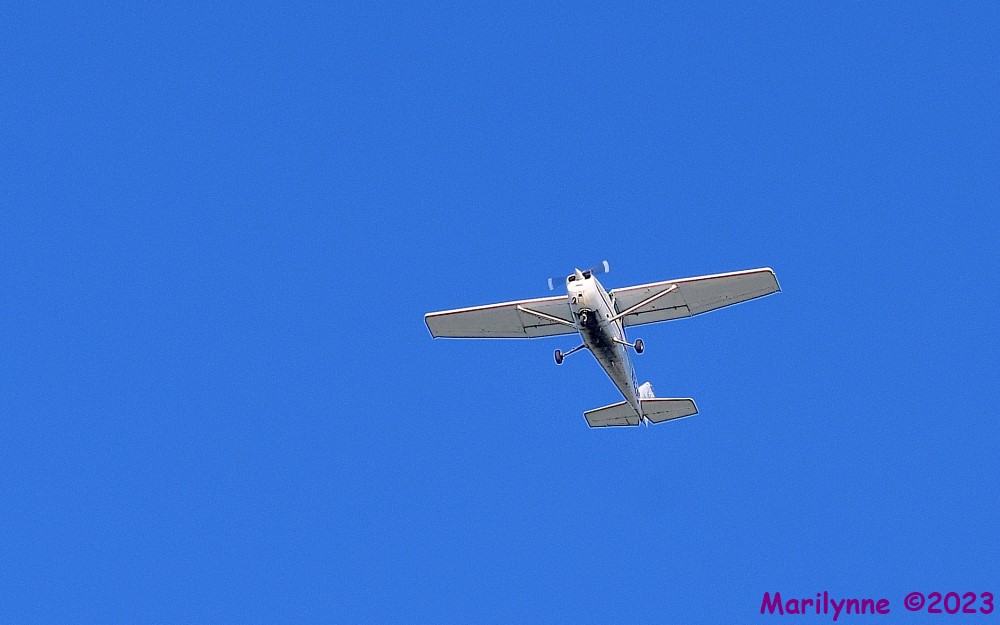 DSC_2841_001.JPG