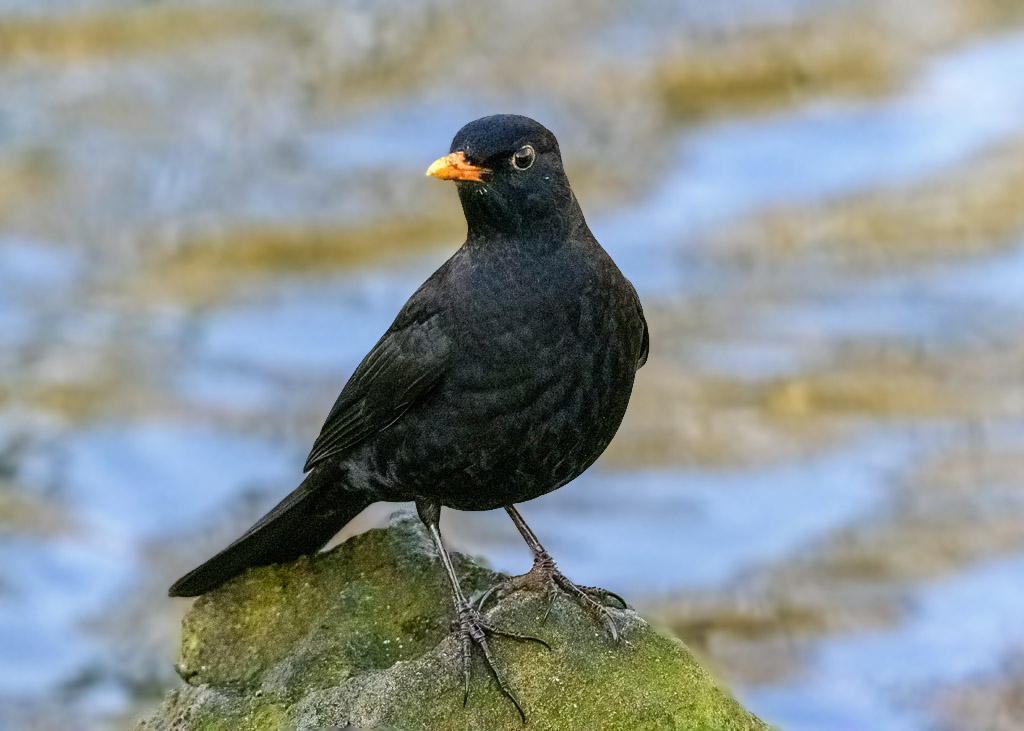 DSC_2844.jpg