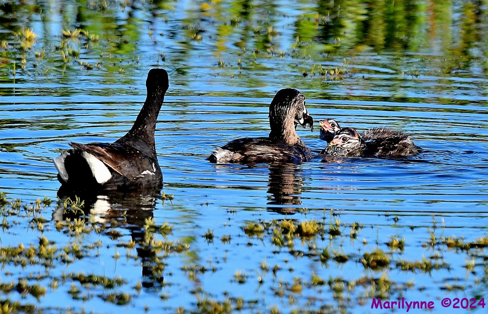 DSC_2844_001.JPG