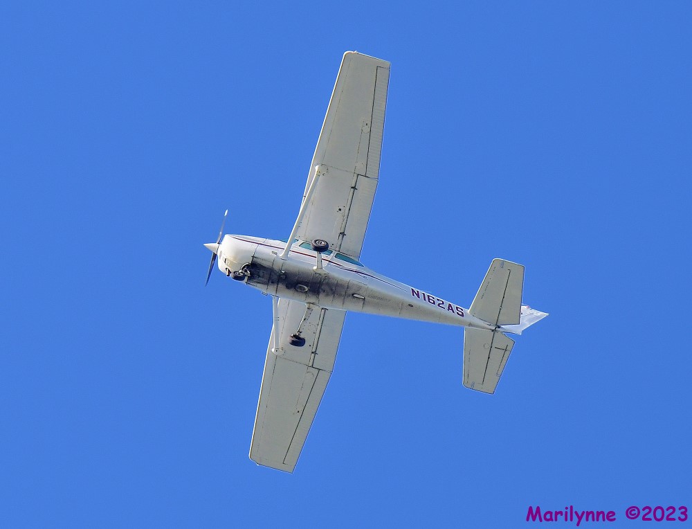DSC_2845_001.JPG