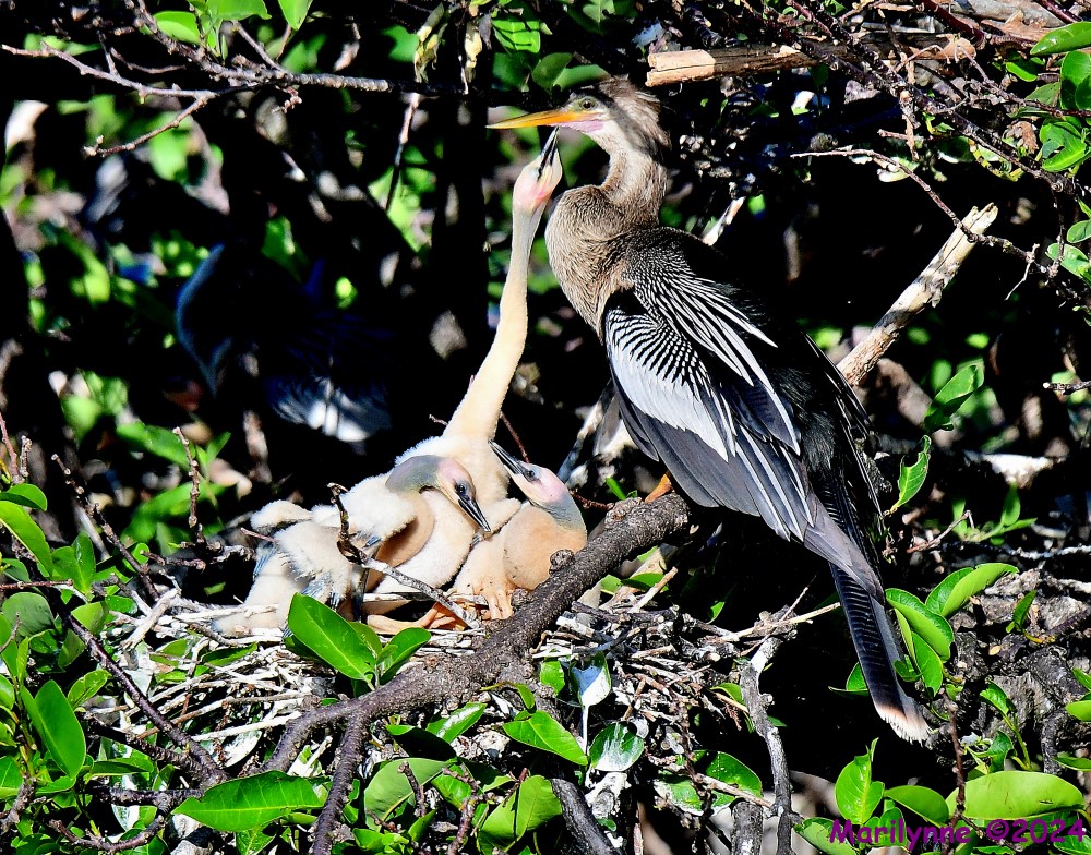 DSC_2845_001.JPG