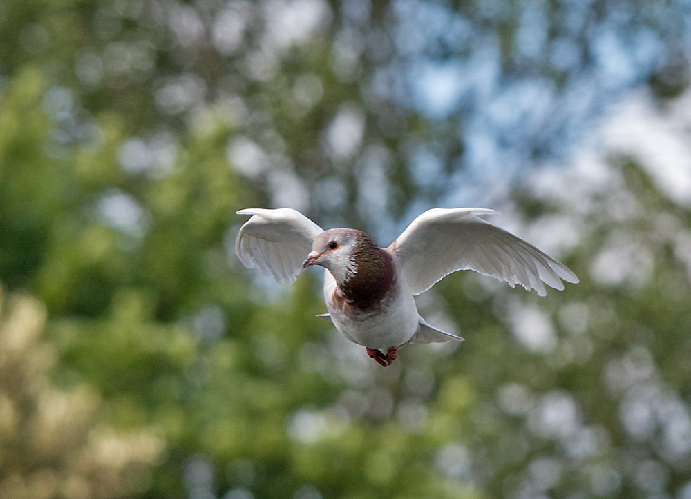 DSC_2846.jpg