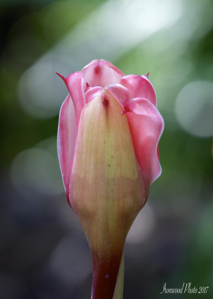 DSC_2846.jpg