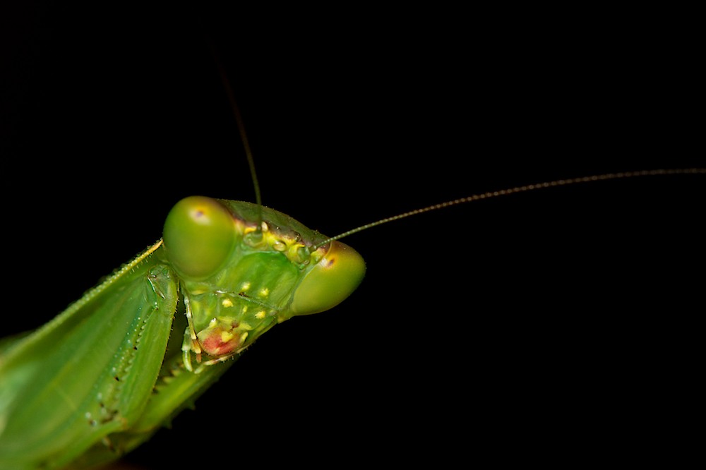 DSC_2846.jpg
