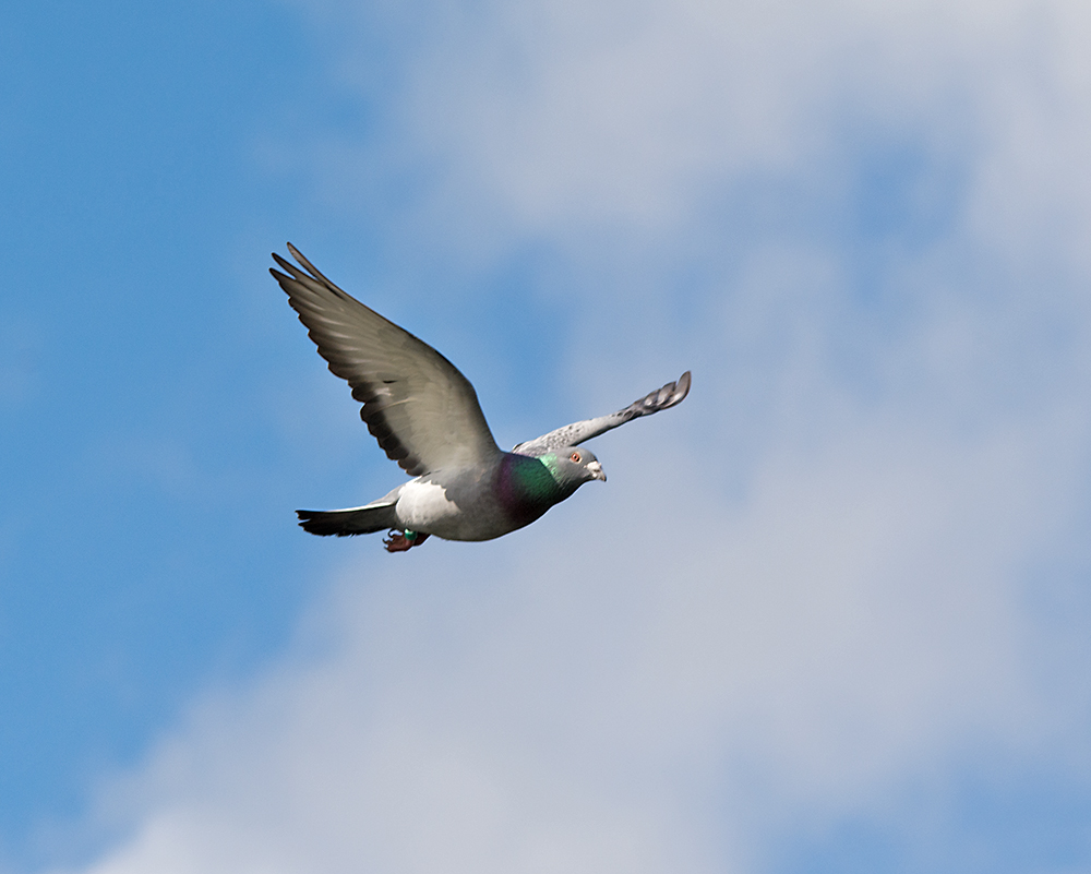 DSC_2848.jpg