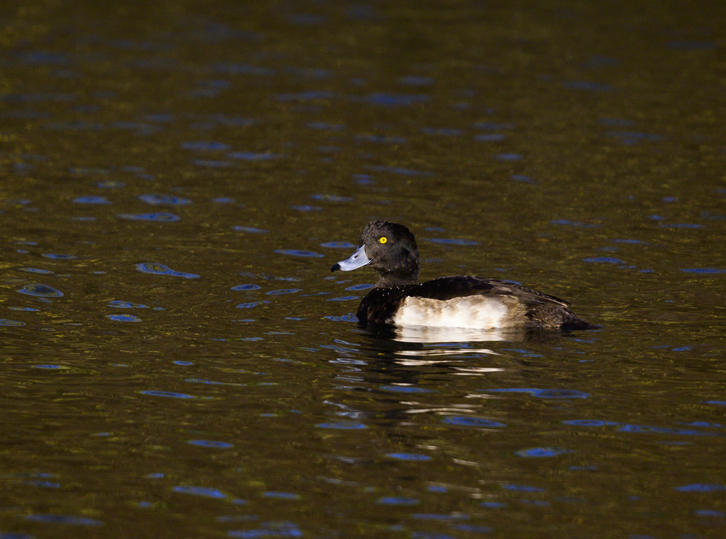 DSC_2848.jpg