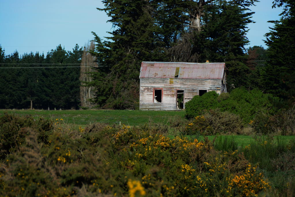 DSC_2848.jpg