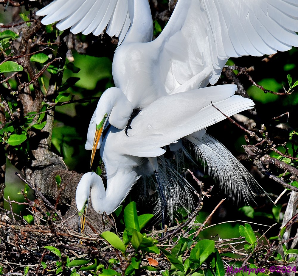 DSC_2848_001.JPG
