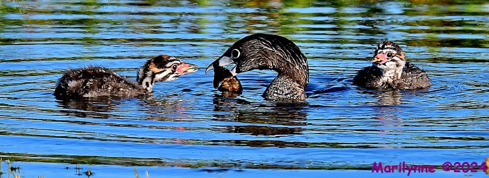 DSC_2850_001.JPG