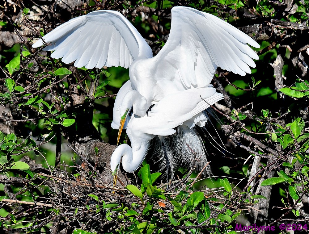 DSC_2853_001.JPG