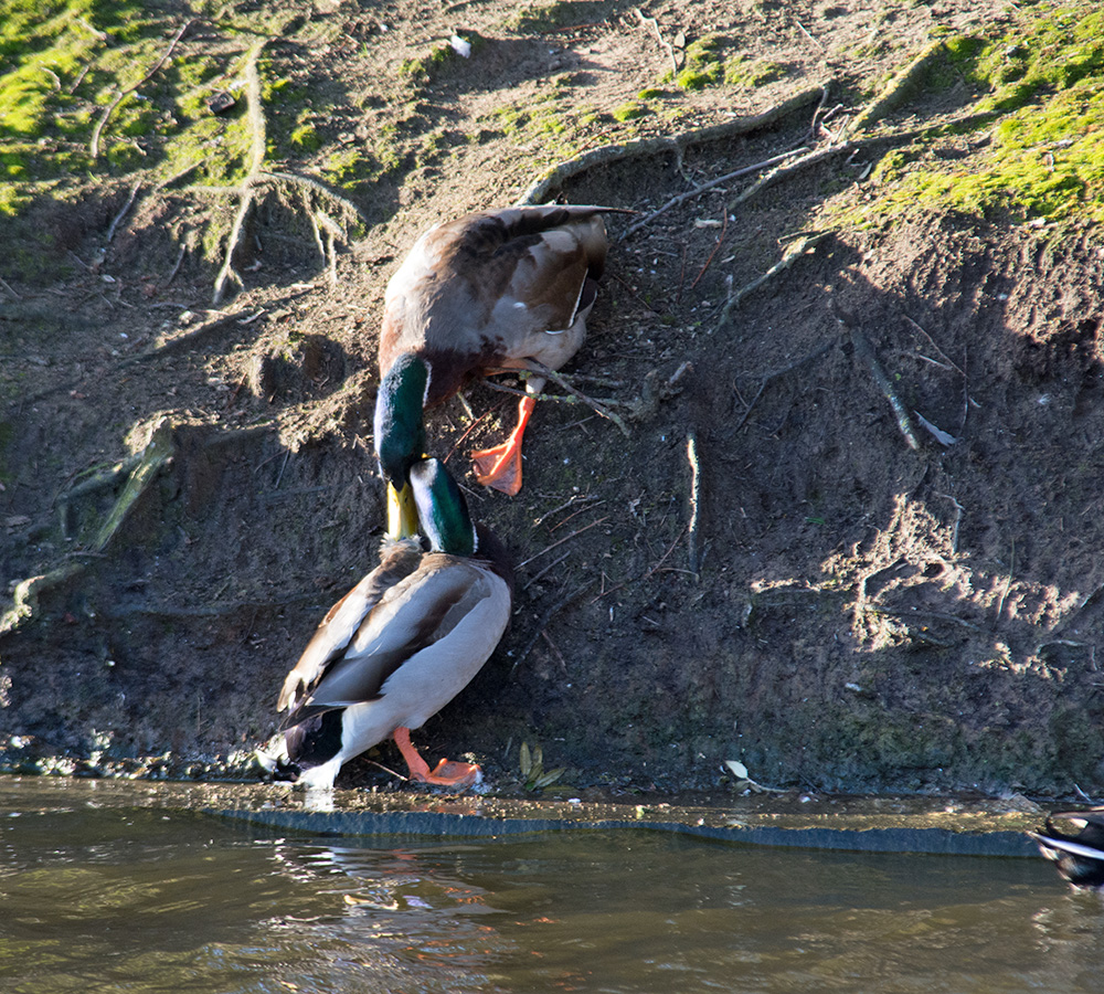 DSC_2856.jpg