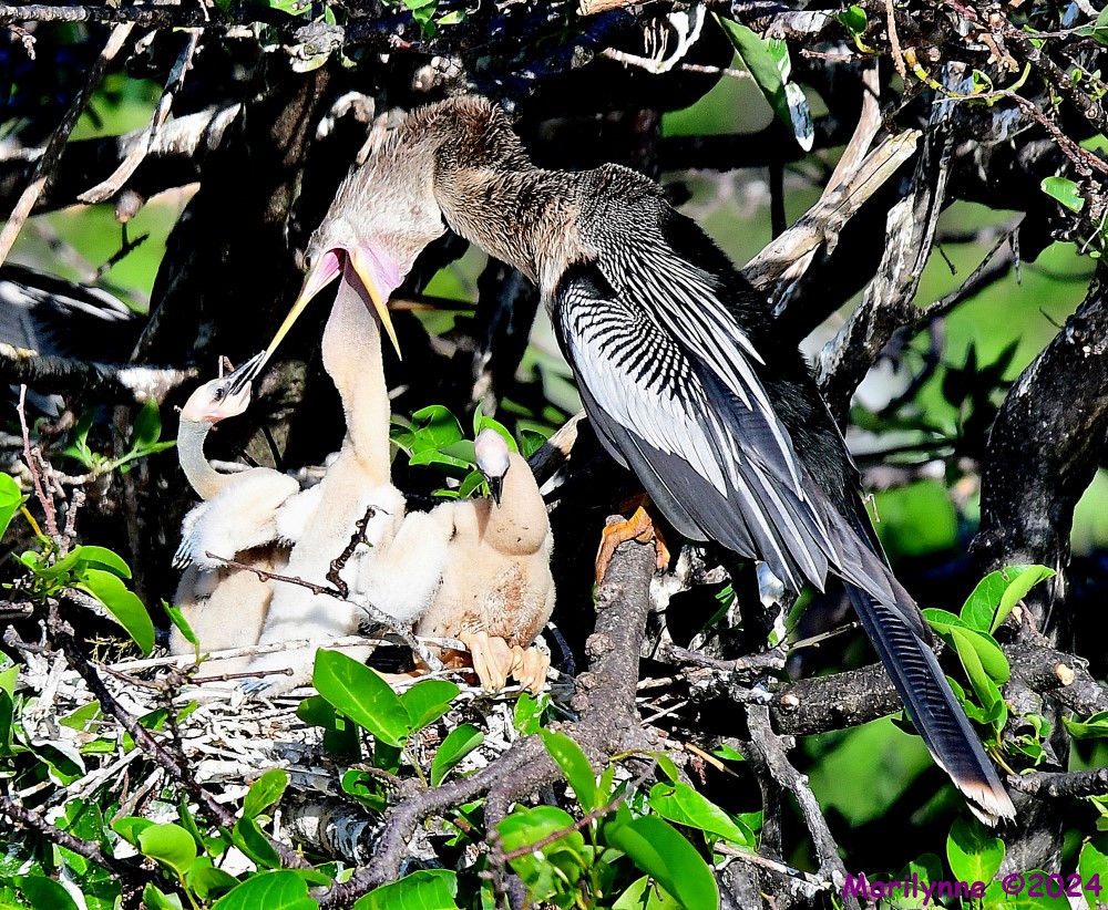 DSC_2857_001.JPG