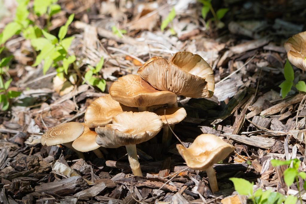 DSC_2859.jpg