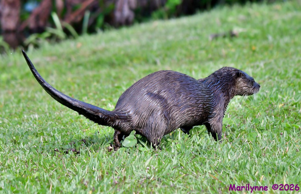 DSC_2859_001.JPG