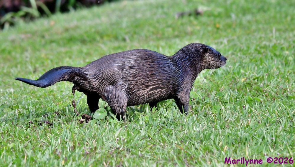 DSC_2860_001.JPG