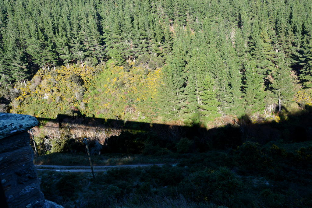 DSC_2864.jpg