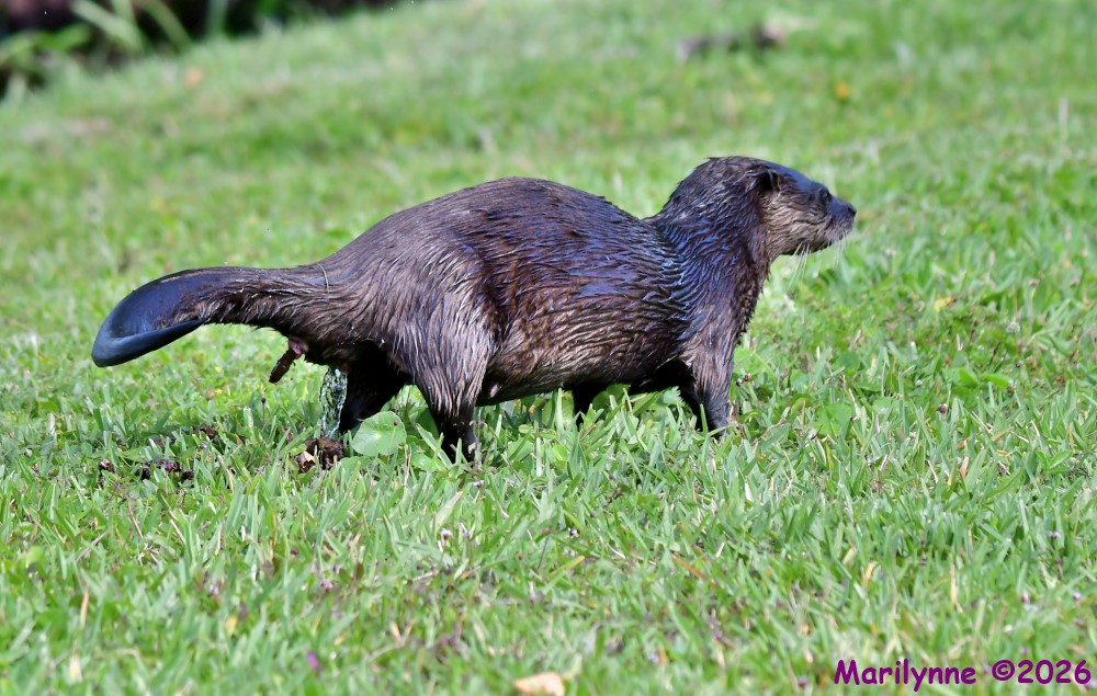 DSC_2865_001.JPG