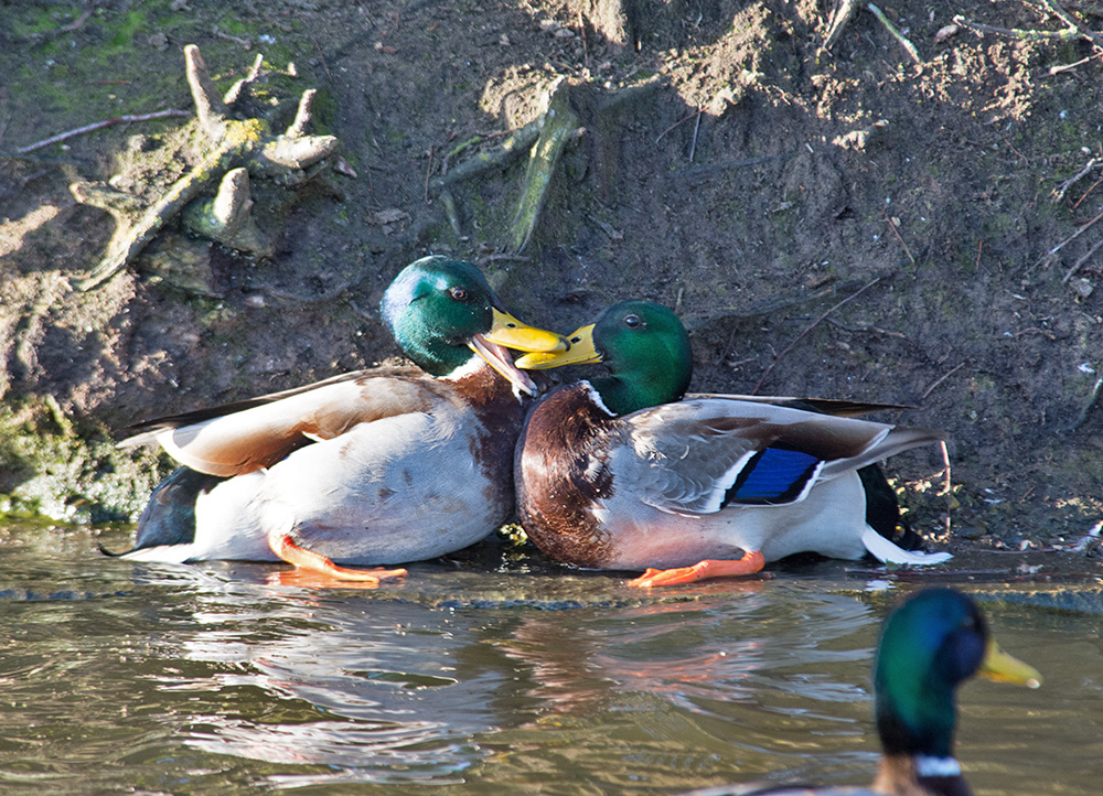 DSC_2866.jpg