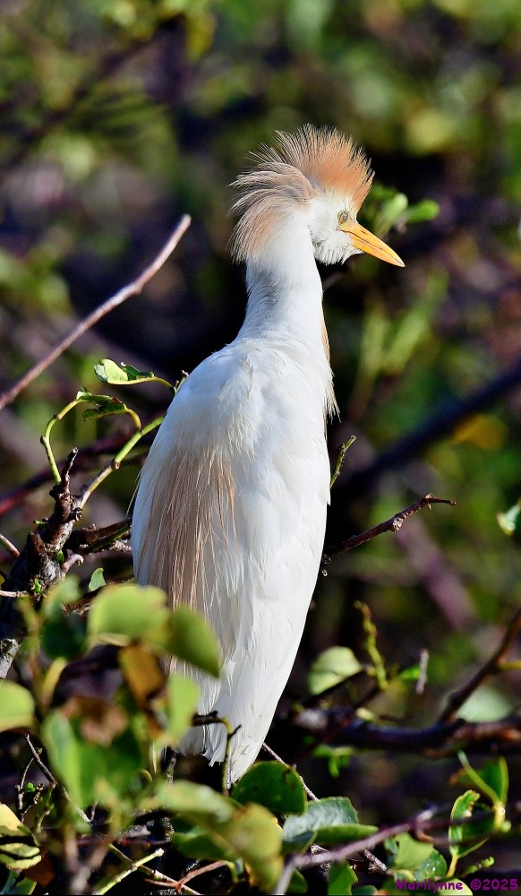 DSC_2868_stitch_001.JPG