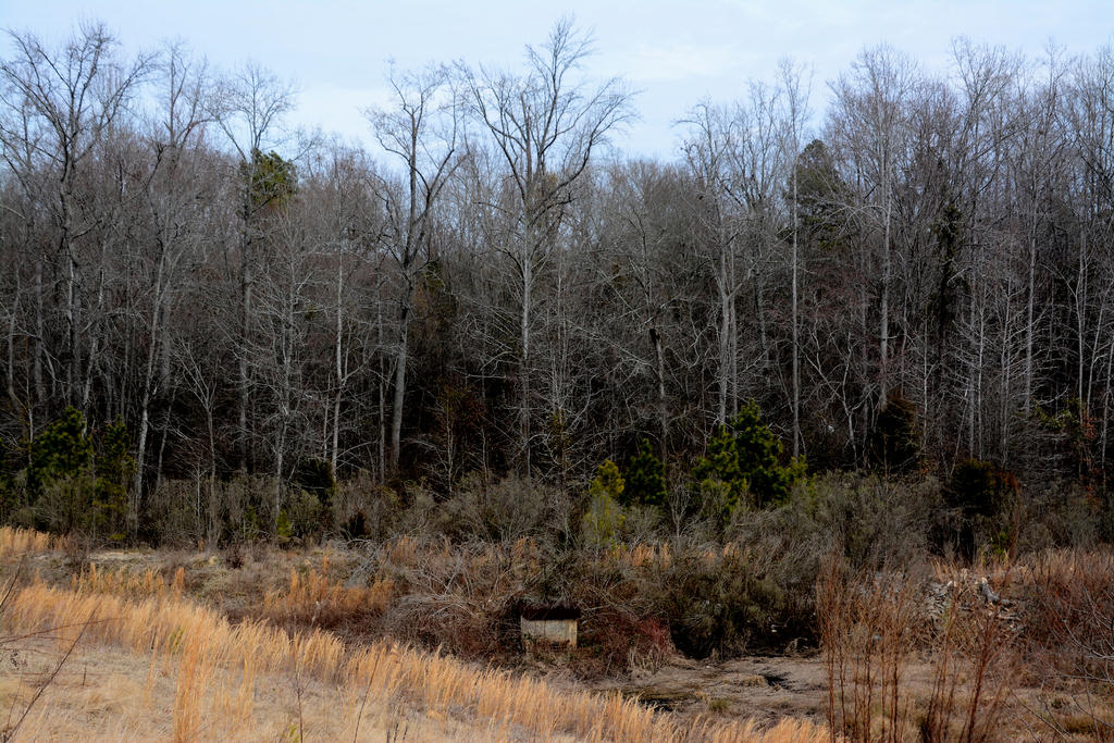 DSC_2872.jpg