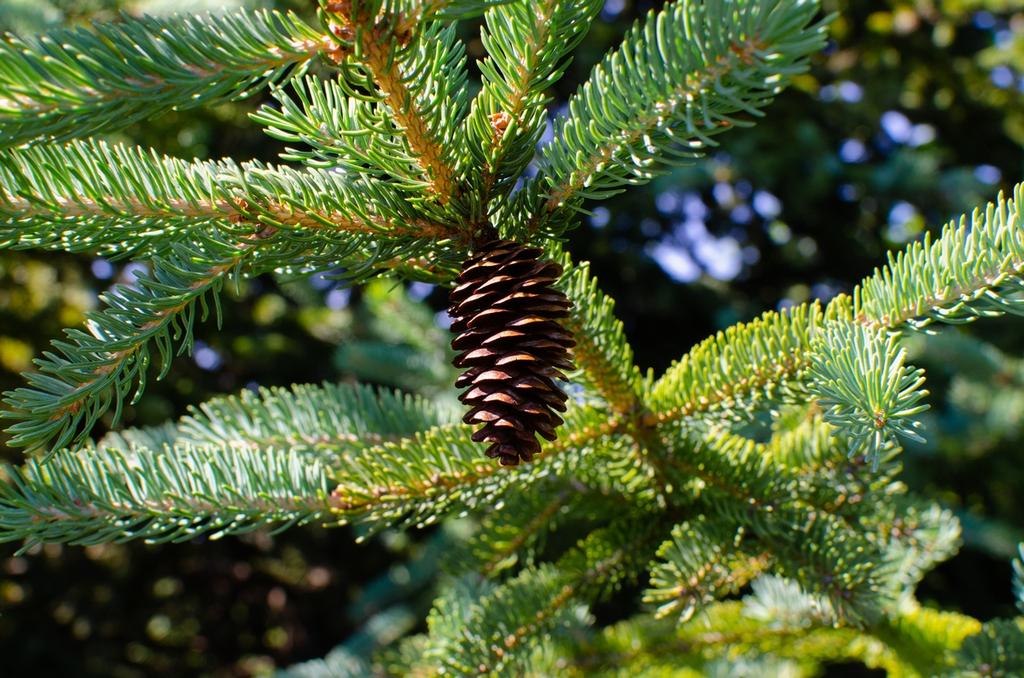 DSC_2873.jpg