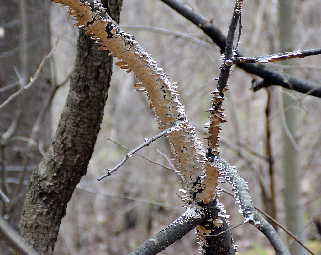 DSC_2874.jpg